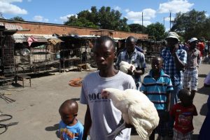 Townships in Zimbabwe