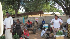 Townships in Zimbabwe