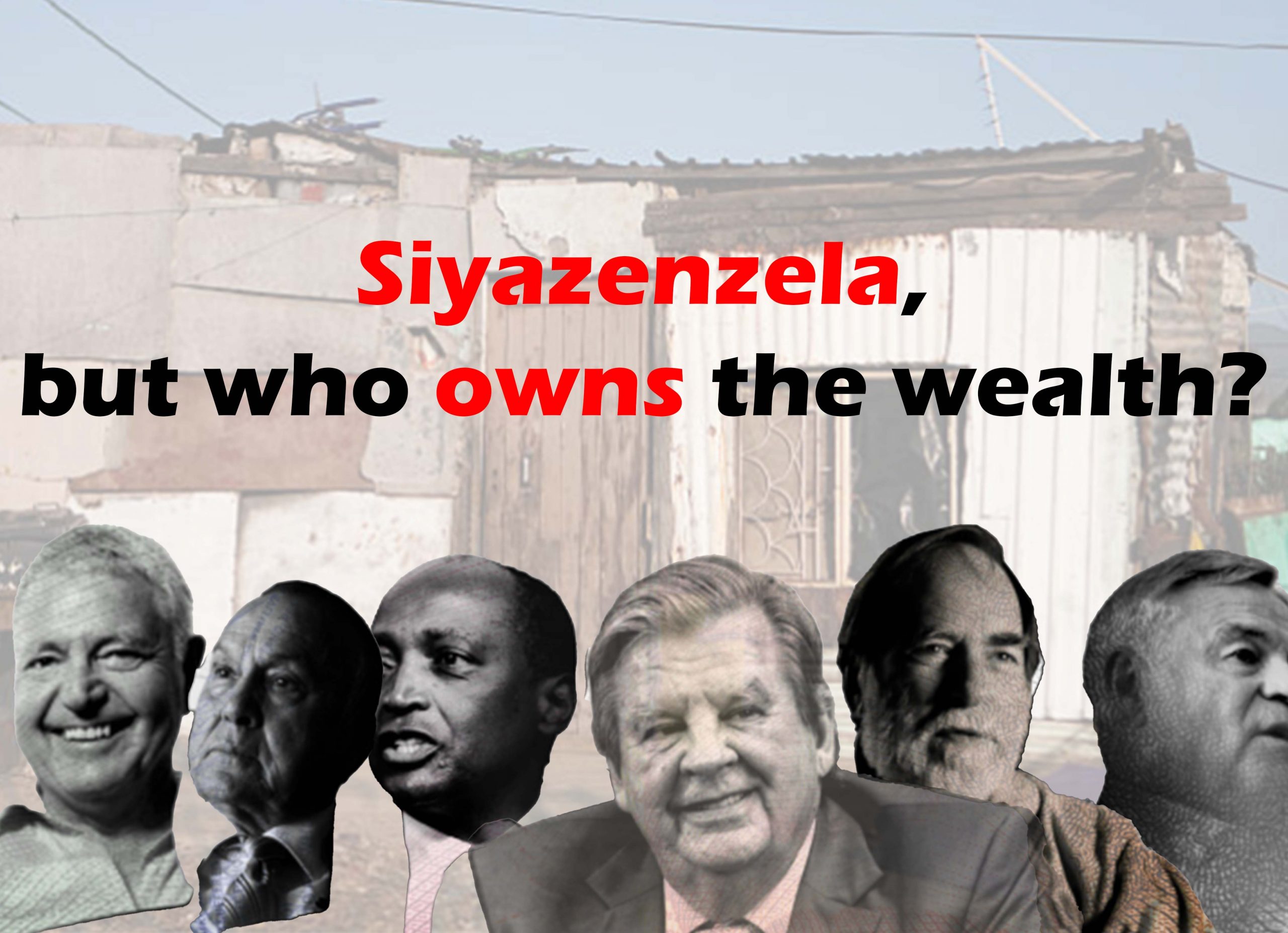 who owns the wealth